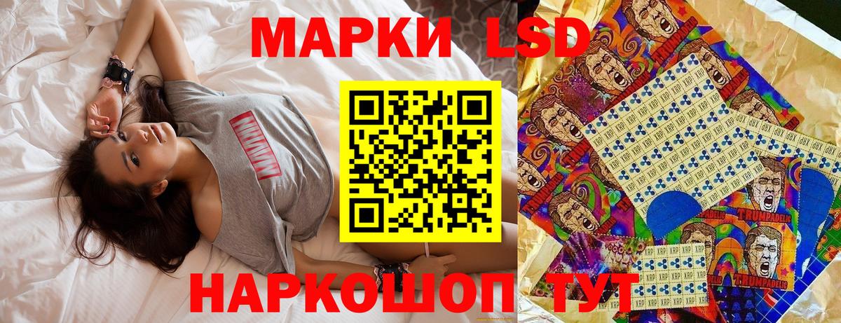 Конопля Шадринск