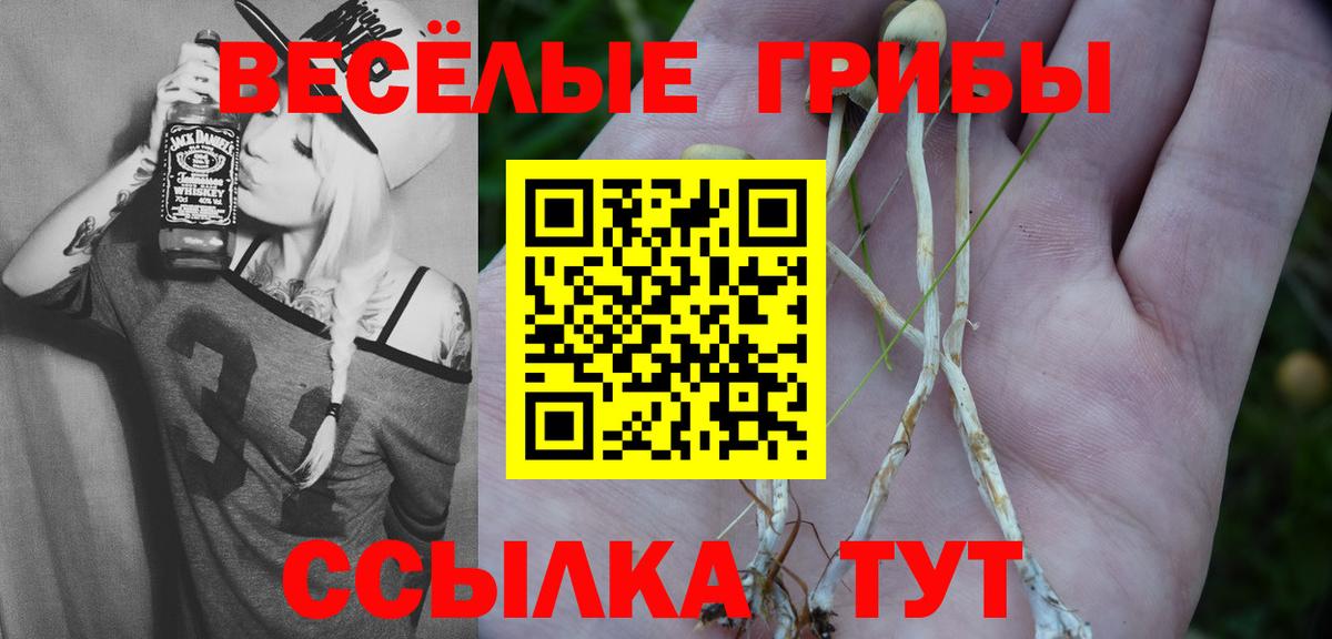 Галлюциногенные грибы MAGIC MUSHROOMS  Вход с VPN  Шадринск  Псилоцибиновые грибы Psilocybine cubensis 