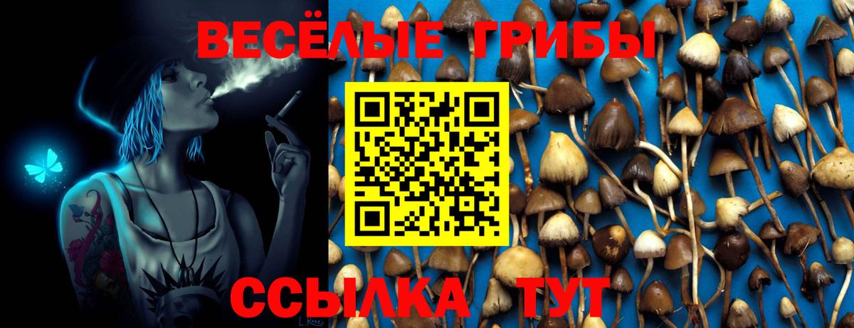 Псилоцибиновые грибы MAGIC MUSHROOMS Шадринск
